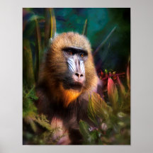 Mandril Baboon MASK IN THE JUNGLE