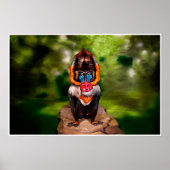 Mandrillのボディ操作の錯覚 ポスター (正面)