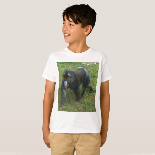 Mandrill #5 Tシャツ (正面フル)