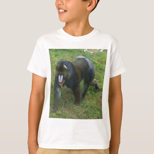 Mandrill #5 Tシャツ (正面)