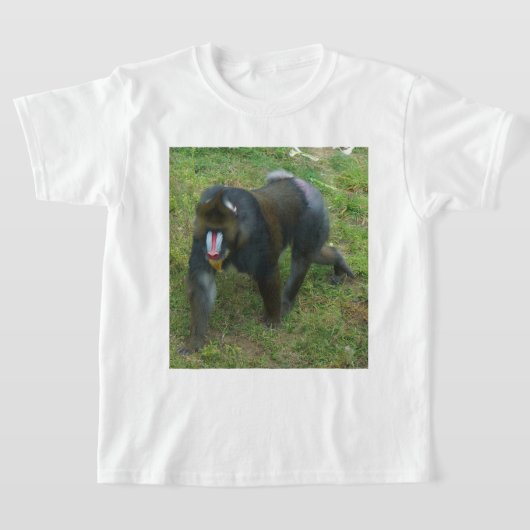 Mandrill #5 Tシャツ (レイダウン)