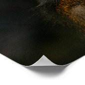 Mandrill Monkey ポスター (角)