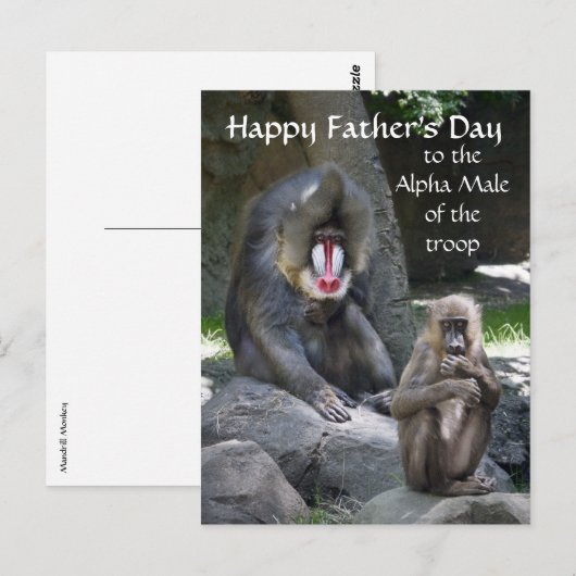 Mandrill Monkey Father's Dayはがき ポストカード (正面/裏面)