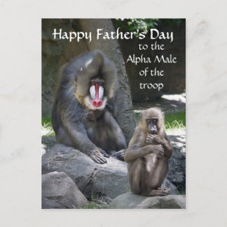 Mandrill Monkey Father's Dayはがき ポストカード