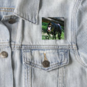 Mandrill Pin 缶バッジ (インサイチュ)