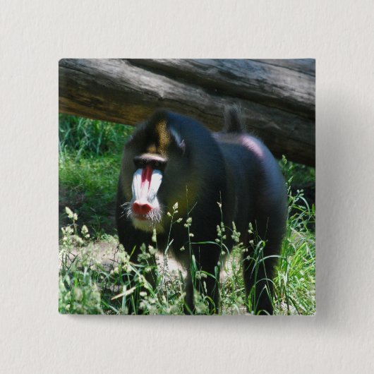 Mandrill Pin 缶バッジ (正面)