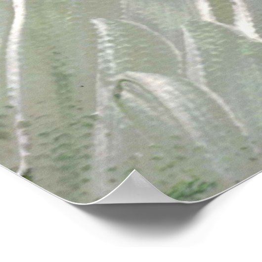 Mandrill Print, Value Poster Paper (Semi-Gloss) ポスター (角)