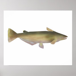 Manduba ポスター