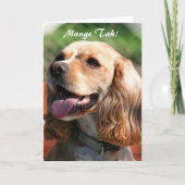 Mangeタークはコッカースパニエルの挨拶状感謝していしています サンキューカード (正面)