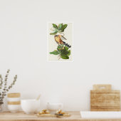 Mangrove Cuckoo by Audubon Poster ポスター (キッチン)