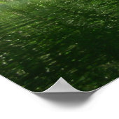 Mangrove Kayaking ポスター (角)