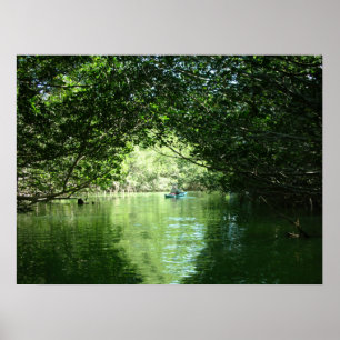 Mangrove Kayaking ポスター