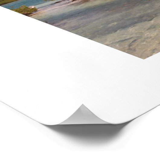 mangroves, florida ポスター (角)