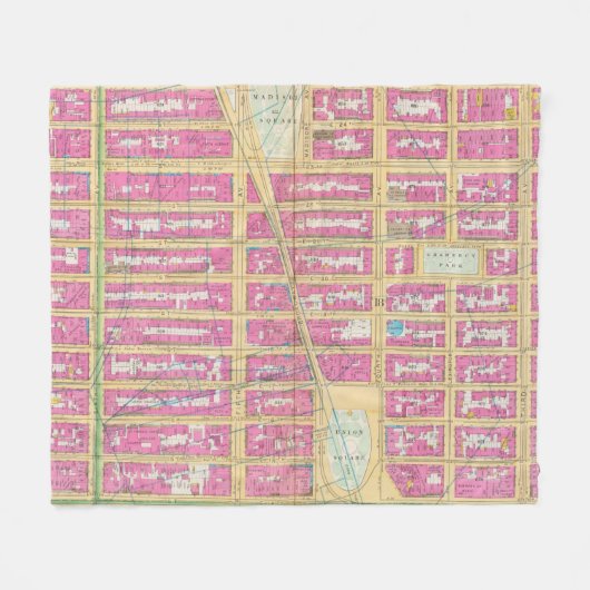 Manhatten、ニューヨーク12 フリースブランケット (正面(横))