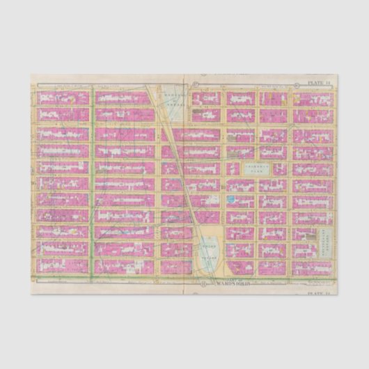 Manhatten、ニューヨーク12 薄葉紙 (正面)