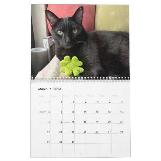 Manny Halloween Cat 2026 Calendar カレンダー (3月 2026)