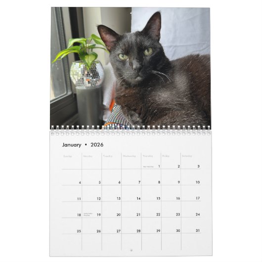 Manny Halloween Cat 2026 Calendar カレンダー (1月 2026)
