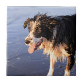 Mans最高の友縁ど達 タイル (正面)