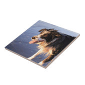 Mans最高の友縁ど達 タイル (側面)