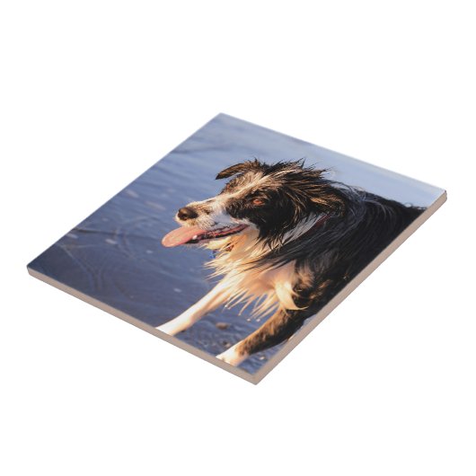 Mans最高の友縁ど達 タイル (側面)