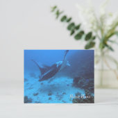 Manta Ray Encounter Diving in Bora Bora ポストカード (スタンド正面)