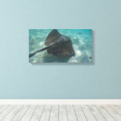 MANTA RAY ON CANVAS 20 "x 16" キャンバスプリント (インサイチュ (ウッドフロア))
