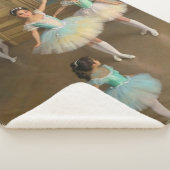 Manta Sherpa Bailarinas esperando el momento de ac シェルパブランケット (3/4)