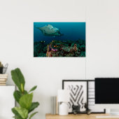 Mantarays over anemone - Poster ポスター (ホームオフィス)