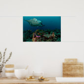 Mantarays over anemone - Poster ポスター (キッチン)