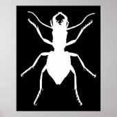 Manticora+tuberculata ポスター (正面)