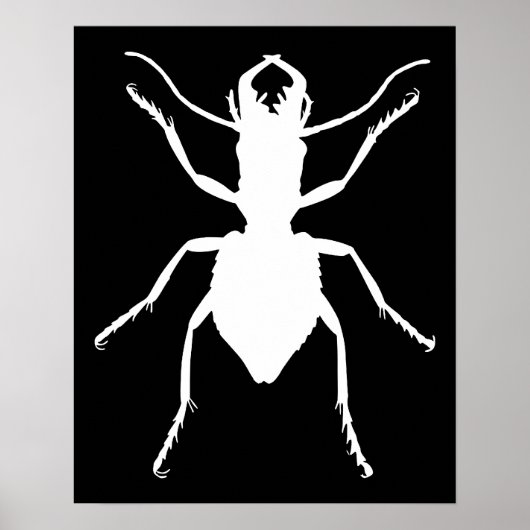 Manticora+tuberculata ポスター (正面)