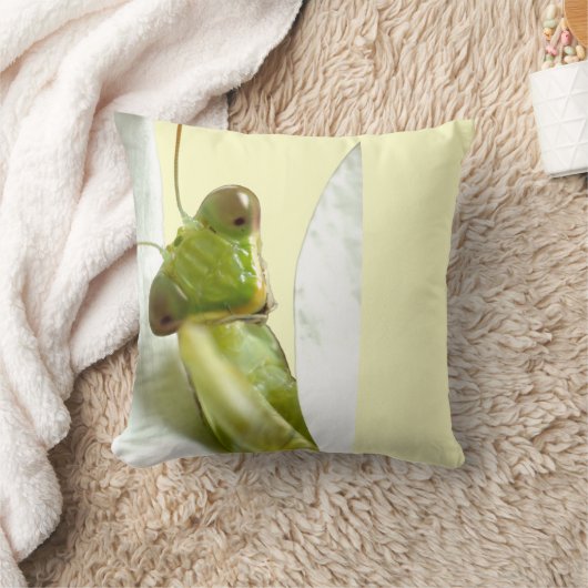 Mantid クッション (ブランケット)