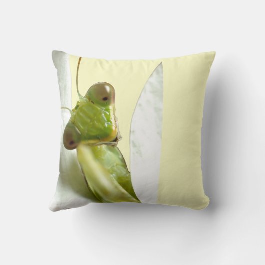 Mantid クッション (裏面)