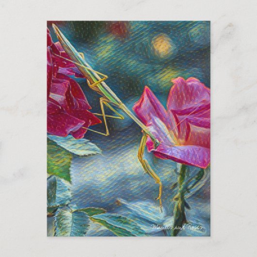 Mantis:Postcard ポストカード (正面)