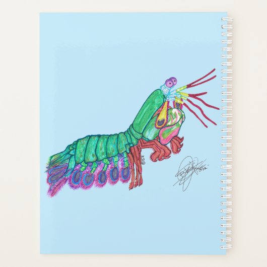 MANTIS SHRIMP プランナー手帳 (裏面)