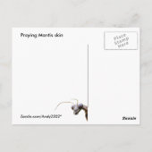 Mantis Skin ～ポストカード ポストカード (裏面)