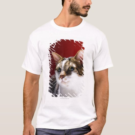 Manx猫 Tシャツ (正面)
