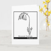 Manypeplia Upsidownia. カード (黄色い花)