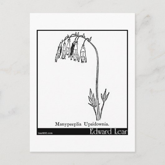 Manypeplia Upsidownia. ポストカード (正面)
