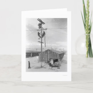 Manzanar 1943年の仕事のライン乗組員 カード