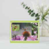 Map Butterfly Collage DIY Postcard シーズンポストカード (スタンド正面)