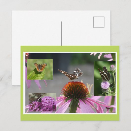 Map Butterfly Collage DIY Postcard シーズンポストカード (正面/裏面)