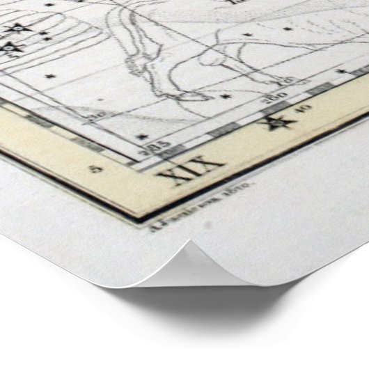 Map of The Constellations Plate VIII ポスター (角)