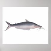 Mapará ポスター (正面)