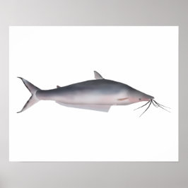 Mapará ポスター