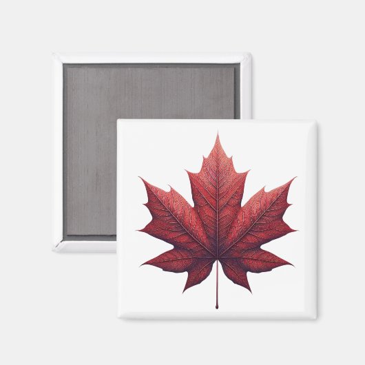 Mapel Leaf マグネット (正面/裏面)