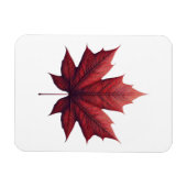 Mapel Leaf マグネット (横)