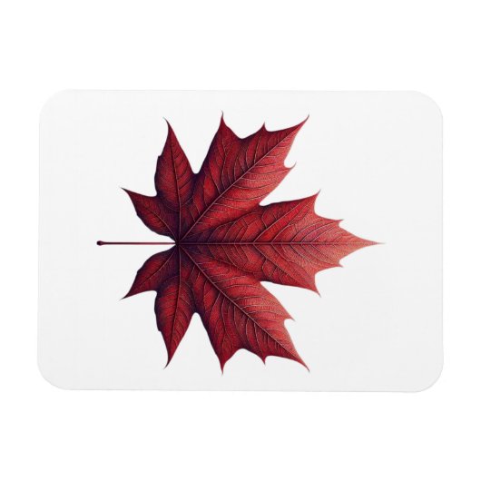 Mapel Leaf マグネット (横)