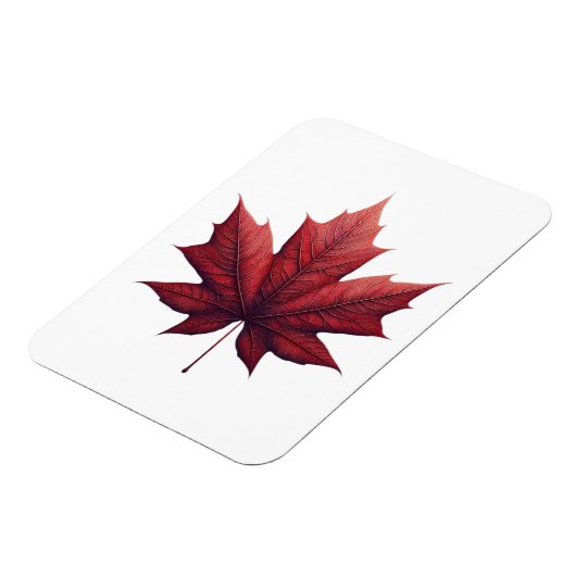 Mapel Leaf マグネット (左側)