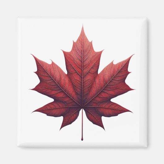 Mapel Leaf, Ahornblatt マグネット (正面)